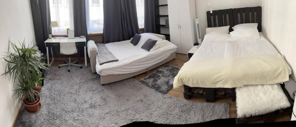 ترير Ferienwohnung In Der Altstadt Fussgangerzone المظهر الخارجي الصورة